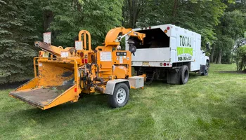 Tree Removal for Total Tree Service in Washington, NJ