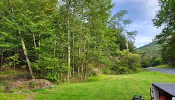 Tree Removal for Fowler's Tree Service LLC. in New Albany, PA