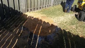 Tree Removal for Daniel Hickey’s Tree Service in DeLand, FL