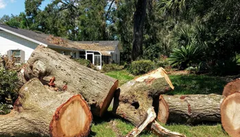 Tree Removal for Hawkins Tree Service & Land Management in Richmond Hill, GA