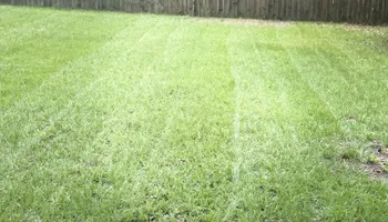 Lawn Maintenance for Trinity Landscapes  in Lumberton, NC