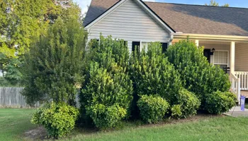 Lawn Maintenance for WD Lawn Services in Loganville, GA