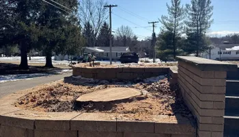 Tree Removal for Fransen's Tree Service  in Freeport, IL