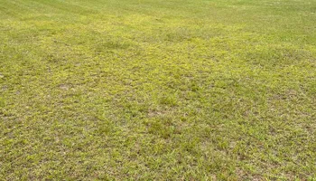 Mowing for Sparks Landscaping in Augusta, GA