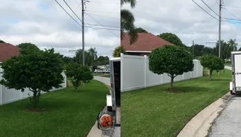 Fall and Spring Clean Up for Curb Appeal Lawn Care LLC. in Gulfport, FL