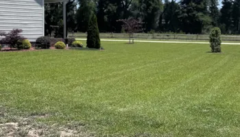 Lawn Maintenance for Trinity Landscapes  in Lumberton, NC
