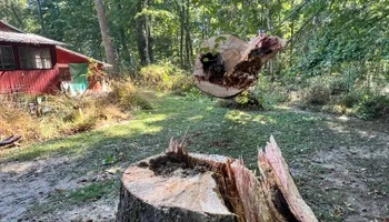Tree Removal for Kadin’s Tree Service in North Vernon, IN