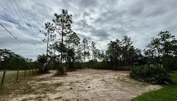 Land Clearing & Demolition for All American Excavating Inc in Brooksville,  FL