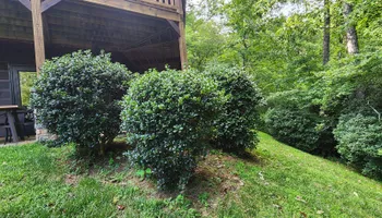 Mowing for JC Landscapers in Ellijay, GA