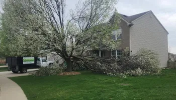 Fall Clean Up for Stafford.Works in Hendricks County, IN 