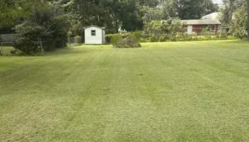 Tree Removal for Hawkins Tree Service & Land Management in Richmond Hill, GA