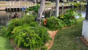 Stump Grinding for Rize N’ Grind  in Punta Gorda, FL