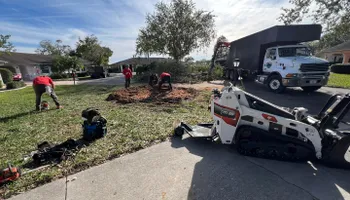 Tree Removal for TREE BOYS in Ruskin, FL
