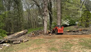 Tree Removal for Lucky’s Tree Removal and Landscape Services in Knoxville, TN
