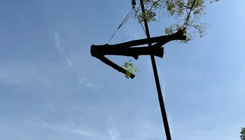 Tree Trimming for DIAZ TREE in Stafford, VA