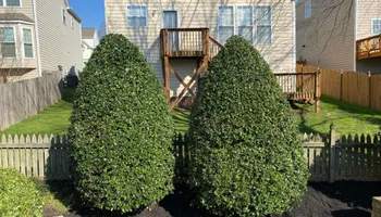 Landscape Design for Superior Lawn Solution in Coats, NC