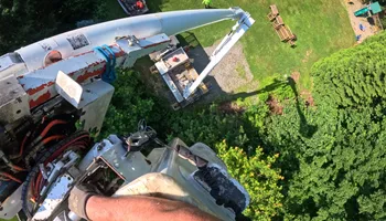 Tree Removal for Hennessey Tree & Landscape LLC in Oxford,  CT 