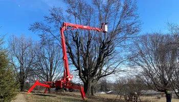 Tree Removal for SMITHs Tree Service in Columbus, IN