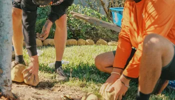 Landscape Lighting for Pro Designs Landscaping in Jacksonville, FL