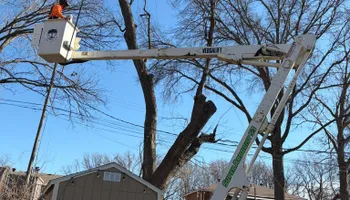Tree Removal for Cross Family Tree Service in Kearney, MO