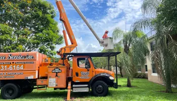Tree Trimming for Sam's Tree Service in Miami Beach,  FL