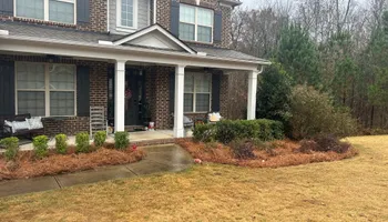 Pinestraw for BAM Another Pinestraw Lot in Flowery Branch, GA