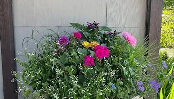 Mowing for Sustainable Property Services in Banner Elk, NC