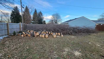 Tree Removal for Canopy Tree Service in Kenosha, WI