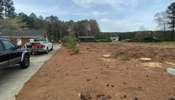 Tree Removal for MTJ Tree Removal LLC in Zebulon, NC