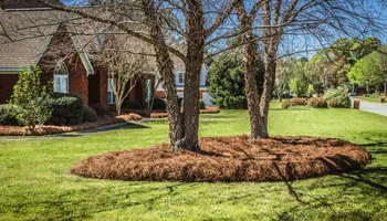 Lawn Maintenance for Gridiron Green Lawn Care in Murfreesboro, TN