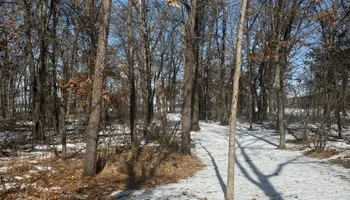Land Clearing for Northern Summit Landworks in Little Falls, MN