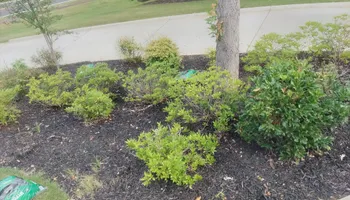 Mowing for Fresh Cut Yard & Lawn Care LLC in Forsyth, GA