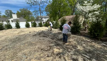 Masonry for Garciano Masonry in Springfield Township, NJ