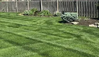 Fertilization Treatments for Chief Lawn Care in Lee's Summit, MO