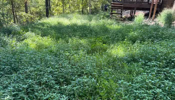Landscape Installation for JM Lawn and Landscape in Bella Vista, AR