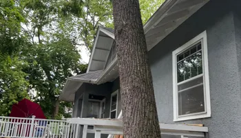 Tree Removal for Dittmer Tree Service in Davenport, IA