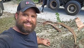 Tree Removal for Near Me Tree Service, Inc. in DeLand, FL