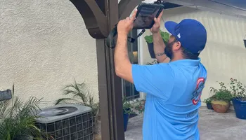 Termite Inspections for Termite Team Company in Los Angeles, CA