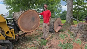 Tree Removal for Smith Tree Experts in Palmyra, VA