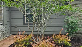 Mowing for Bruno's Professional Lawn's & Landscape in Beaumont, TX