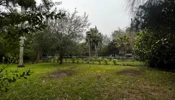 Tree Removal for Outdoor Solutions Of The Glades in Hendry County, FL