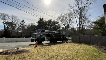 Tree Removal for Native Roots Tree Service in Falmouth, MA