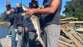 New Dock Construction for Coastal Marine Construction in Bay St. Louis, MS