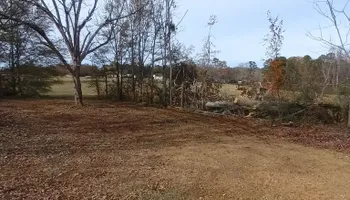 General Handyman Services for Goliath Tree Maintenance and Haul Away in Seneca, SC