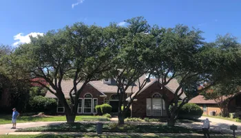 Tree Trimming for Twin Oak Solutions in Carrollton, TX