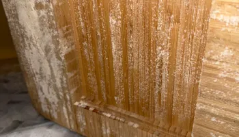 Water Mitigation for N&D Restoration Services When Disaster Attacks, We Come In in Cape Coral,  FL