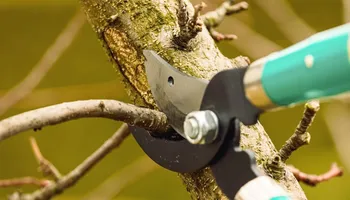 Lawn Mowing for 4 Points Lawncare LLC in Hayes, VA