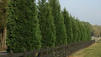 Commercial Landscaping for Trim Seasonal Services in Milwaukee, WI