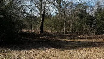 Tree Removal for H3 Land Management in Centerville, TX