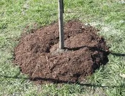 Mowing for S.C. Landscaping in Franklin, NH